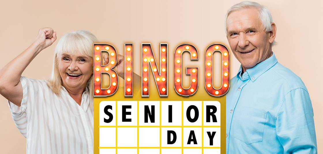 ndp senior class bingo 2018